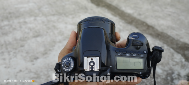 Canon 60d with 50mm prime lens